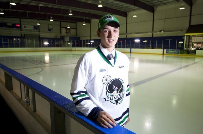 Whalers land local goalie