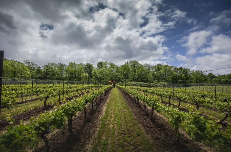 Niagara winery part of We Stand tourism campaign