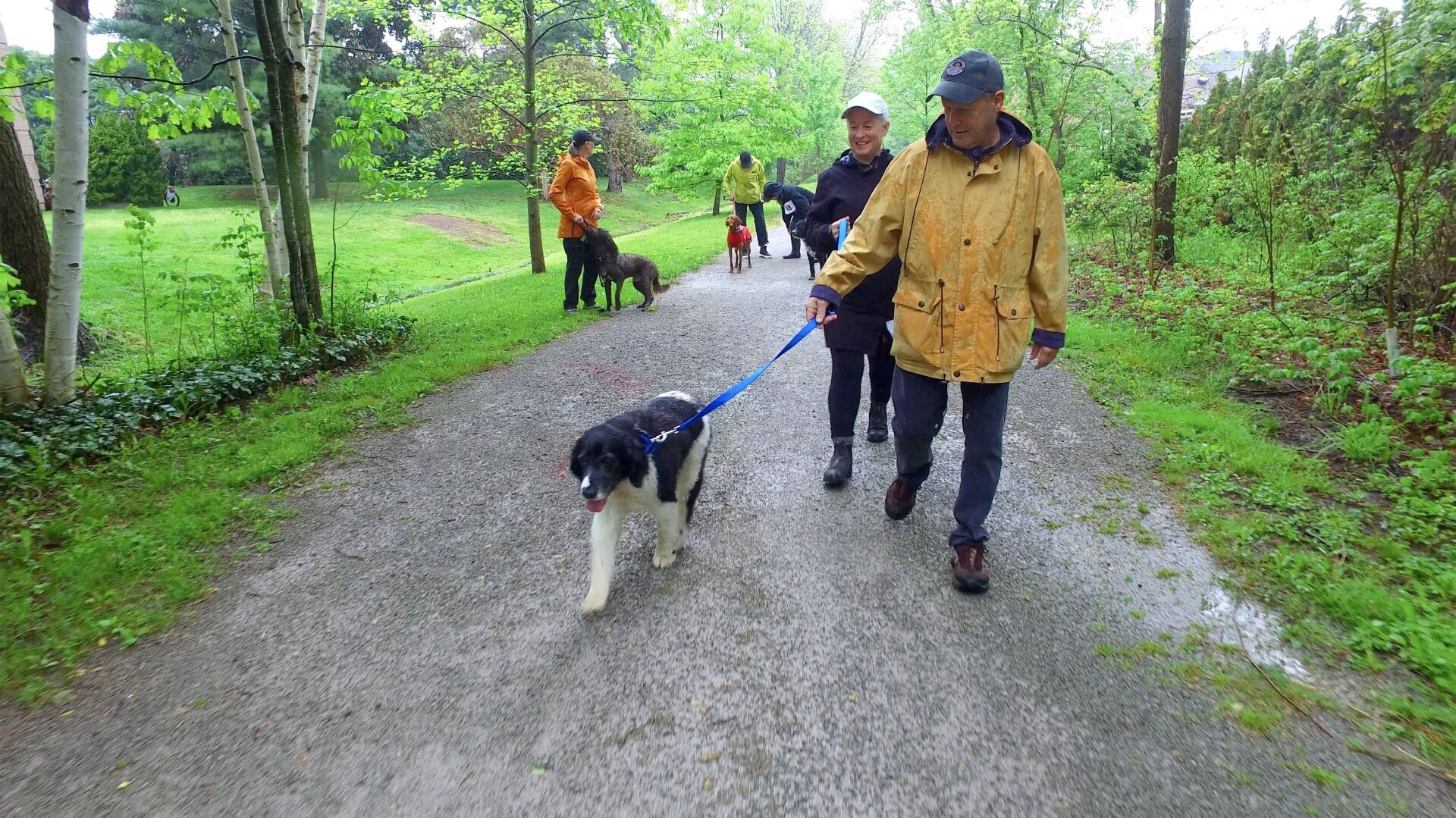 Muddy paws hit the trail in Niagara on the Lake