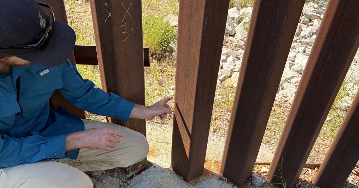 DHS nixes replicating fortunate anomaly