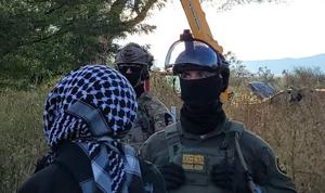 Agentes de la Patrulla Fronteriza retiran a manifestantes, derriban árbol de algodón