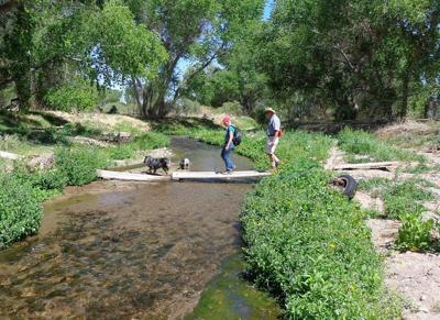 Locals invited to participate in survey on Santa Cruz ...