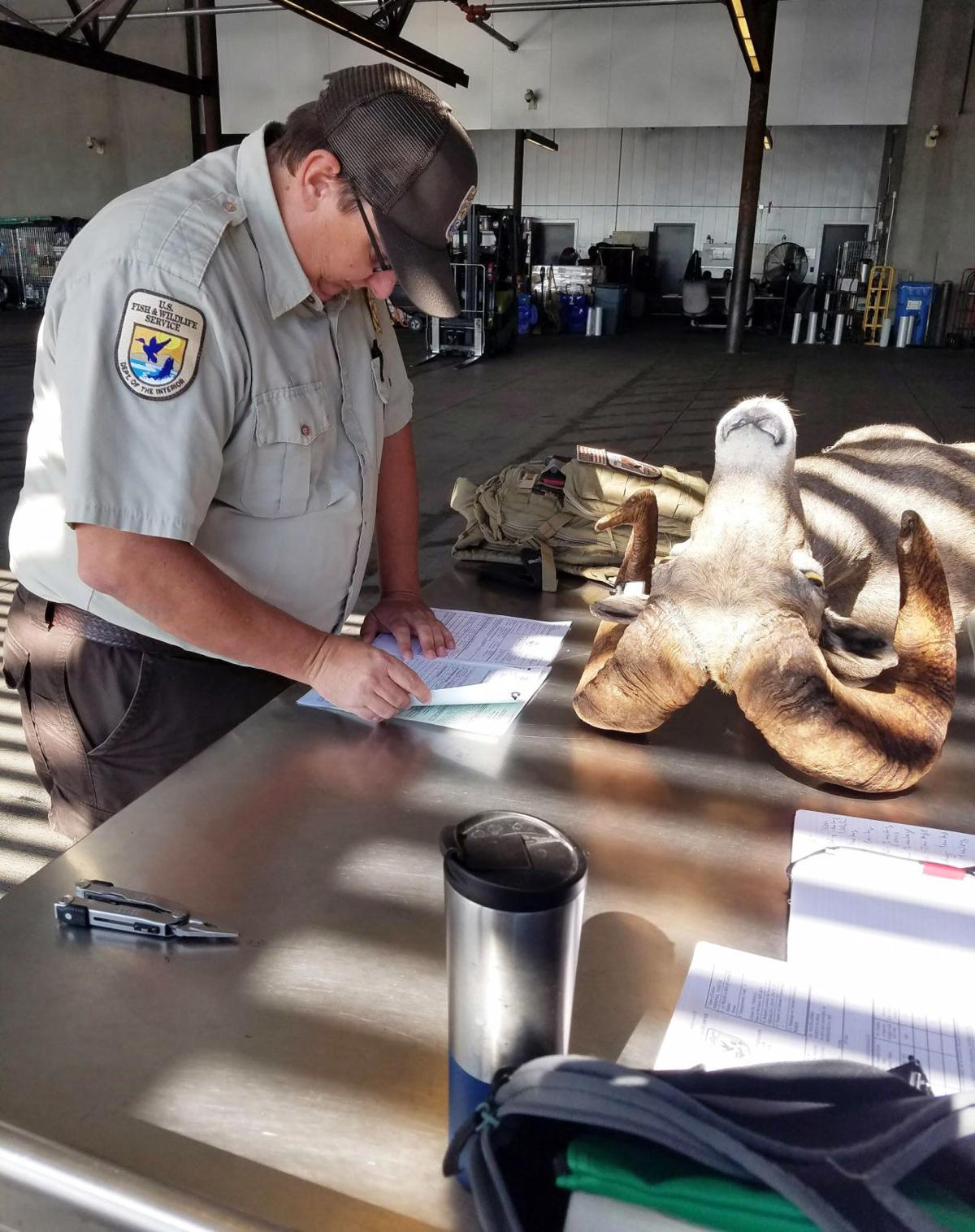 Any Iguanas Deer Meat Or Octopus Inspector Enforces Wildlife Laws At 