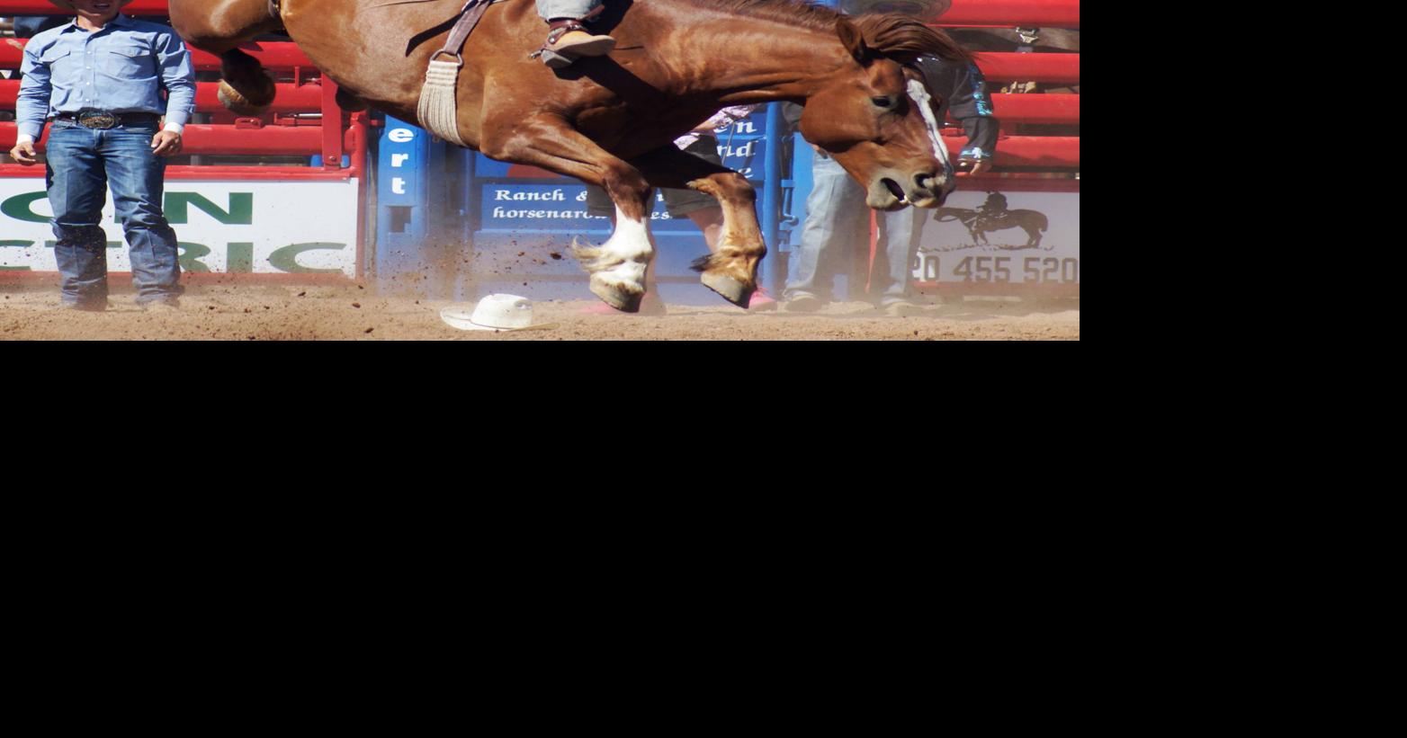 Labor Day Rodeo is Sept. 2-4 in Sonoita | News | nogalesinternational.com