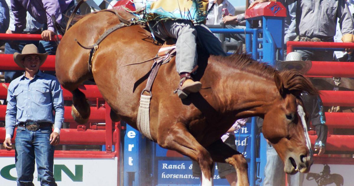 Labor Day Rodeo is Sept. 2-4 in Sonoita | News | nogalesinternational.com