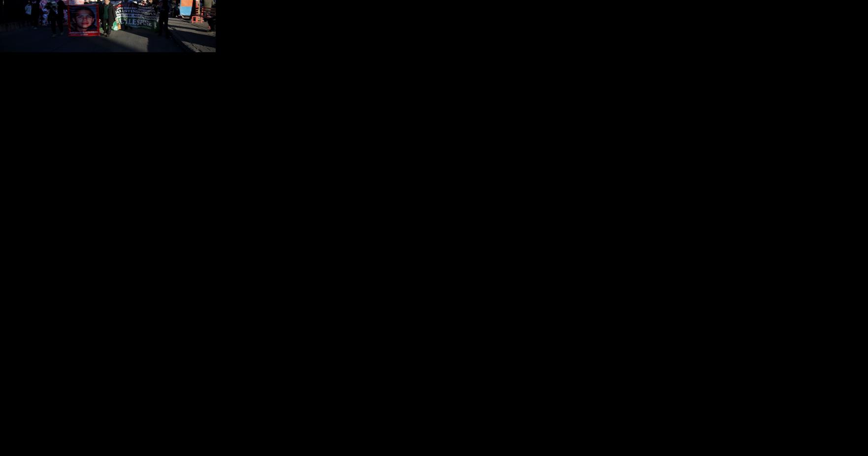 Demonstrators decry CBP shootings, demand ceasefire in Gaza - Vimarsana News