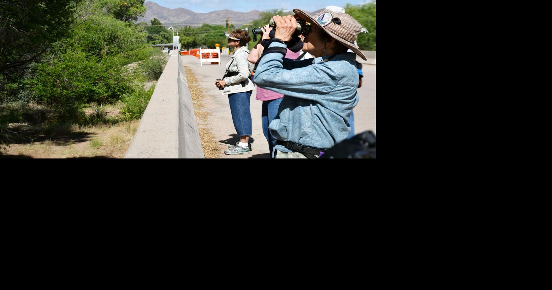 Annual ‘hawk watch’ is now on in Tubac Community
