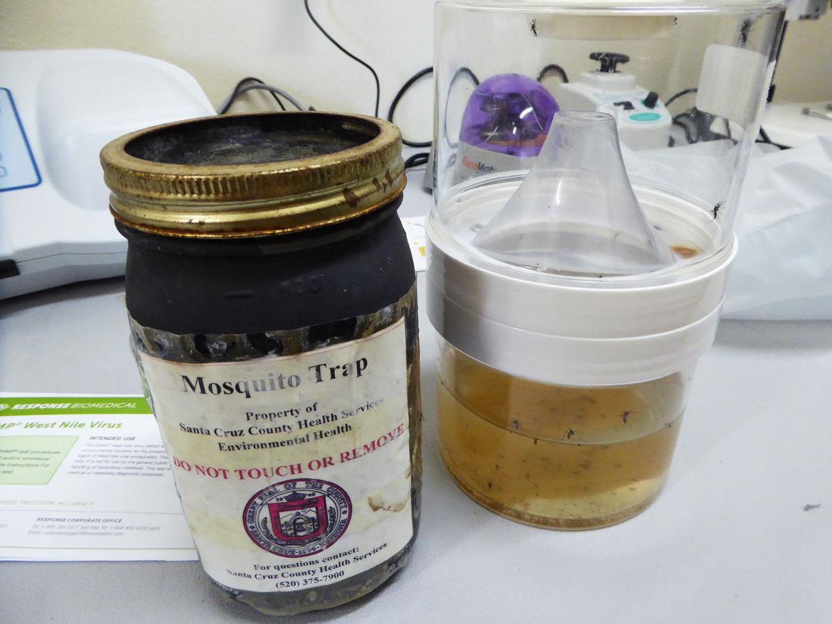 It's 'full-on mosquito season' in Santa Cruz County ...