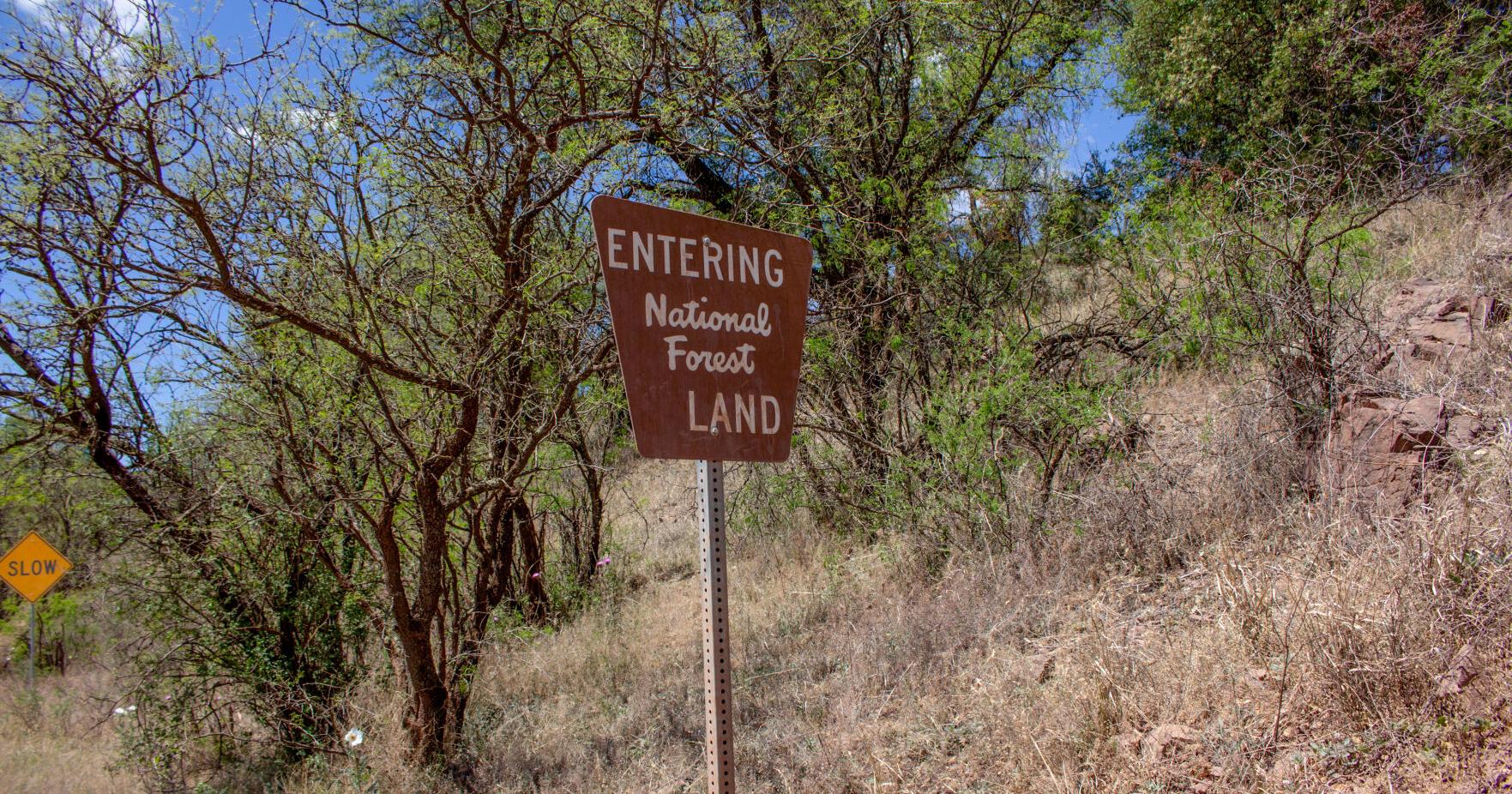Hermosa project: Grijalva pushes for longer public comment period - Vimarsana News