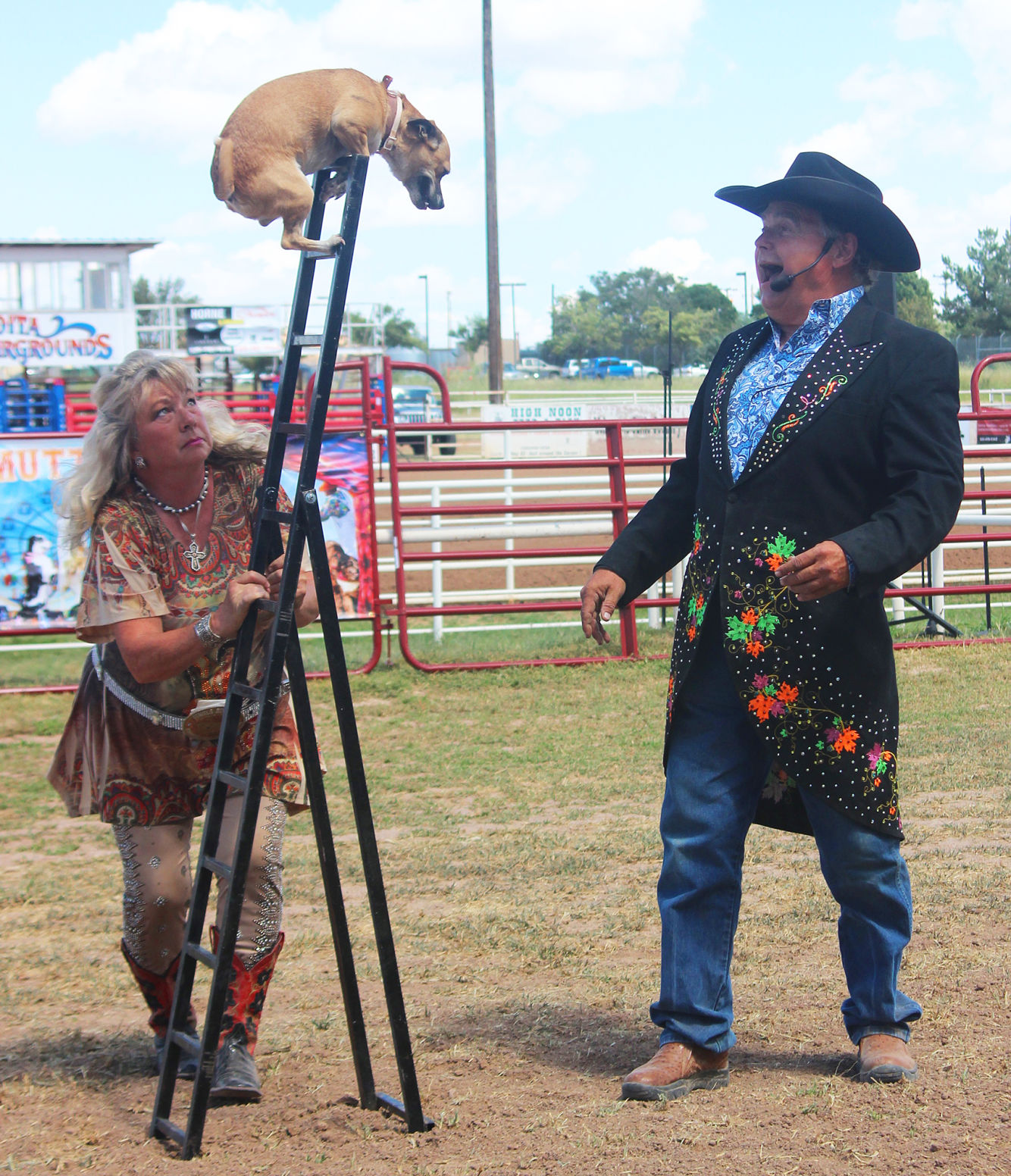 County fair offers all kinds of fun News nogalesinternational