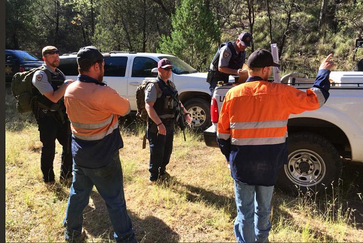 Wildlife officials suspend search for bear that attacked hiker | The Weekly  Bulletin | nogalesinternational.com