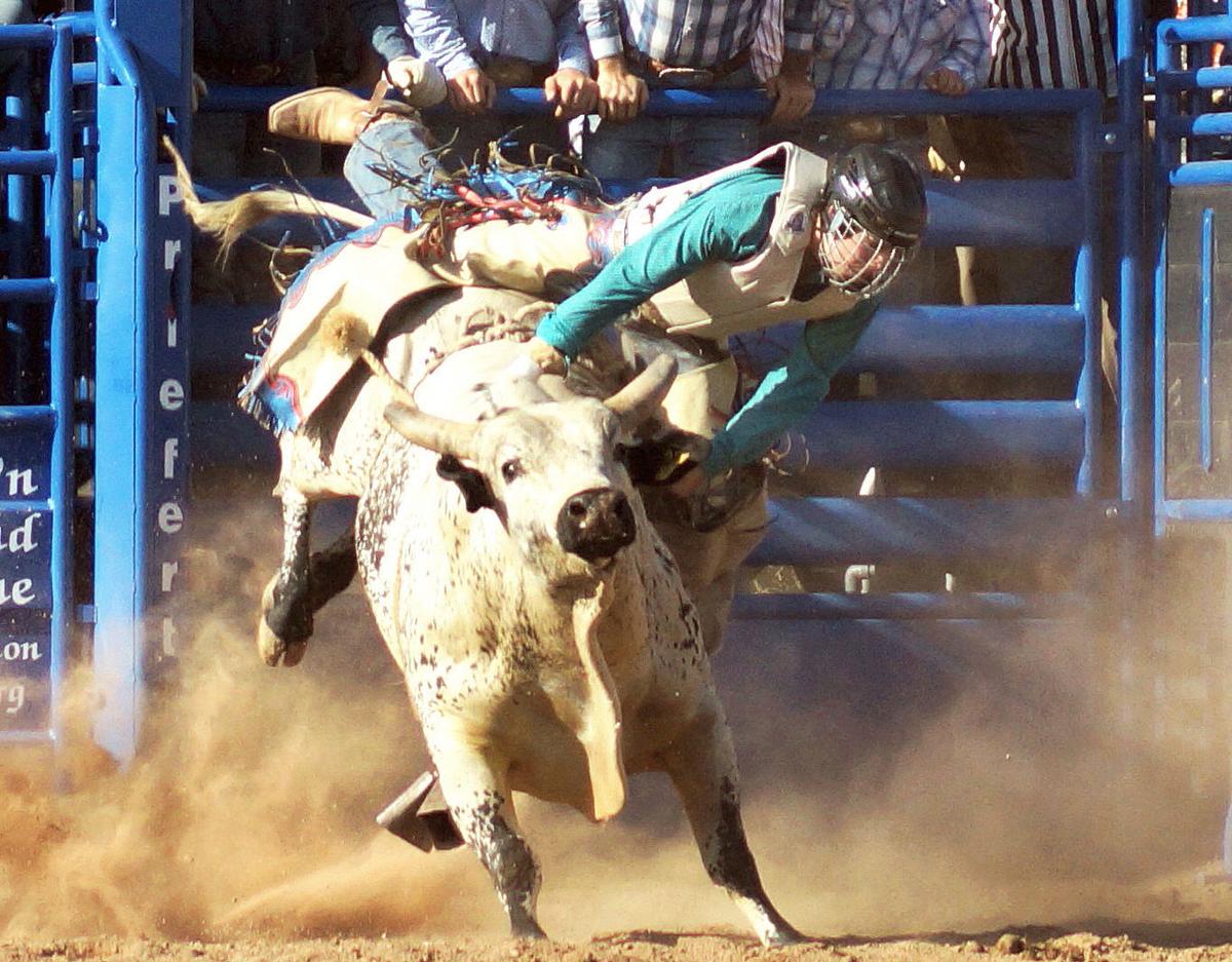 Rodeo
