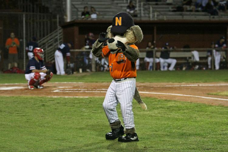 Gallery Mexican Baseball Fiesta Gallery