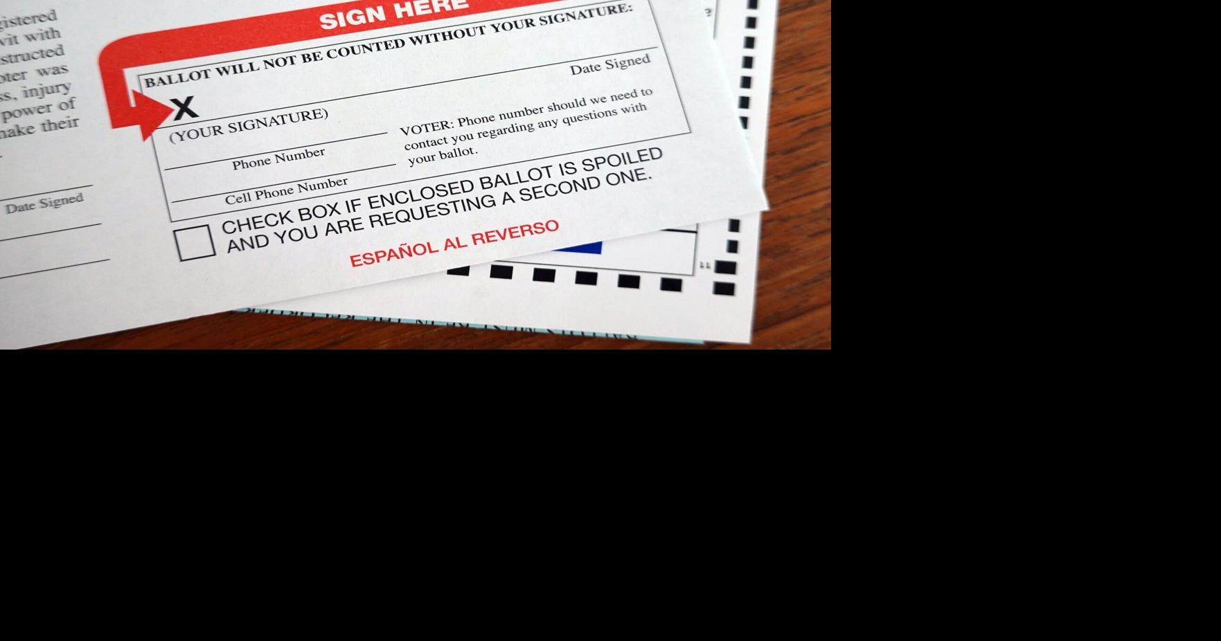 County GOP chair sues to get close-up look at ballot signatures | Local ...