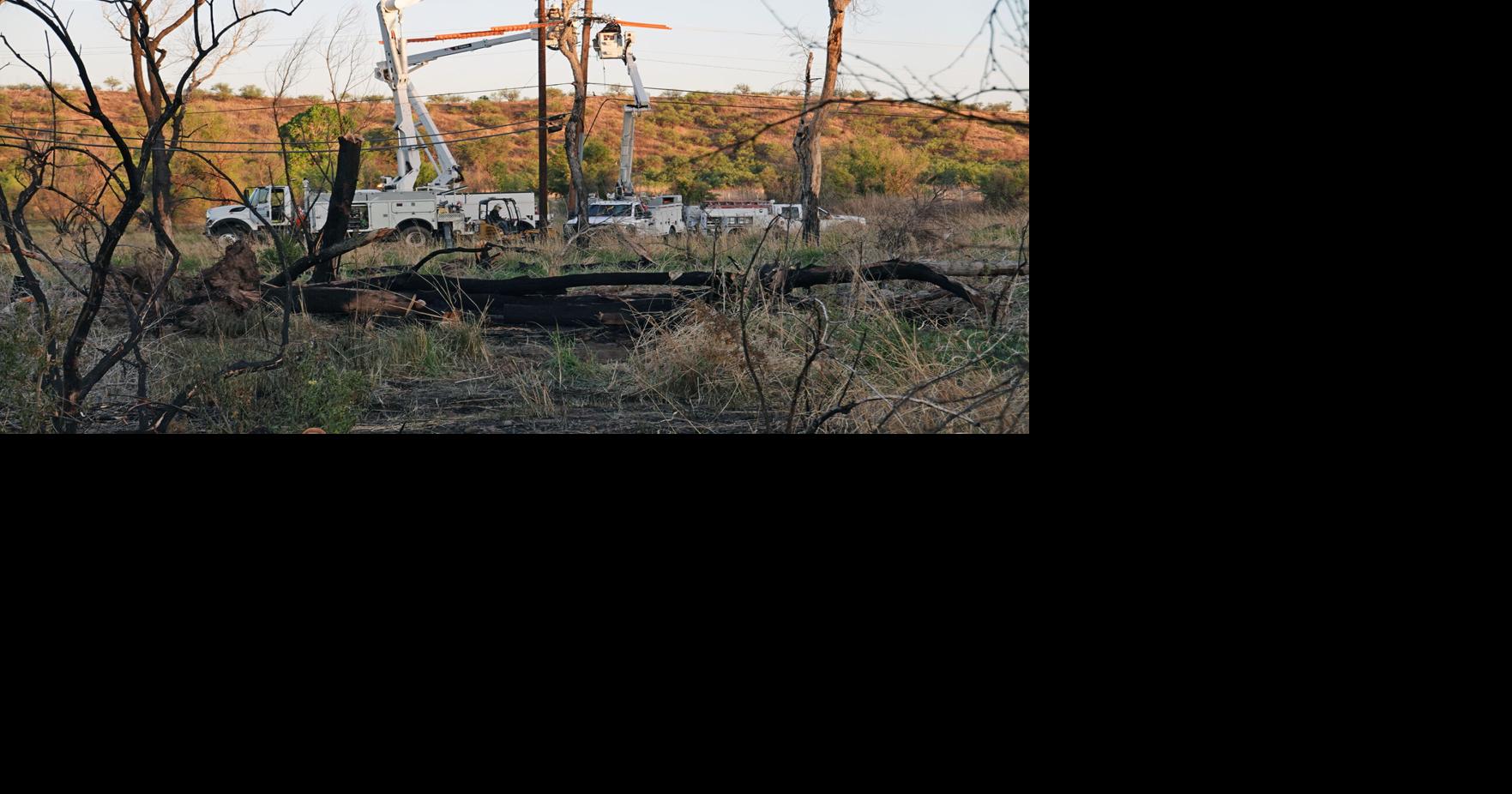 Tree falls on power lines, igniting fire in Meadow Hills Local News