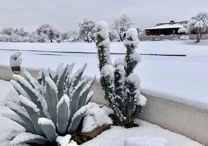 Gallery Reader snow pics Gallery