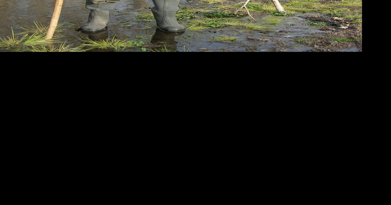 Acclaimed writer Jim Harrison dies at home in Patagonia News