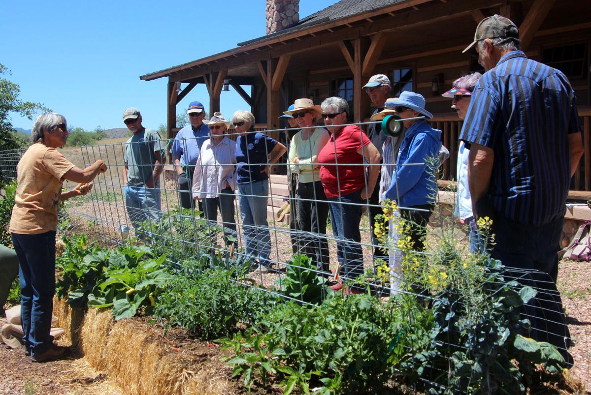Sonoitaarea gardeners find support with Plant Parenthood Sonoitaarea gardeners find support with Plant Parenthood