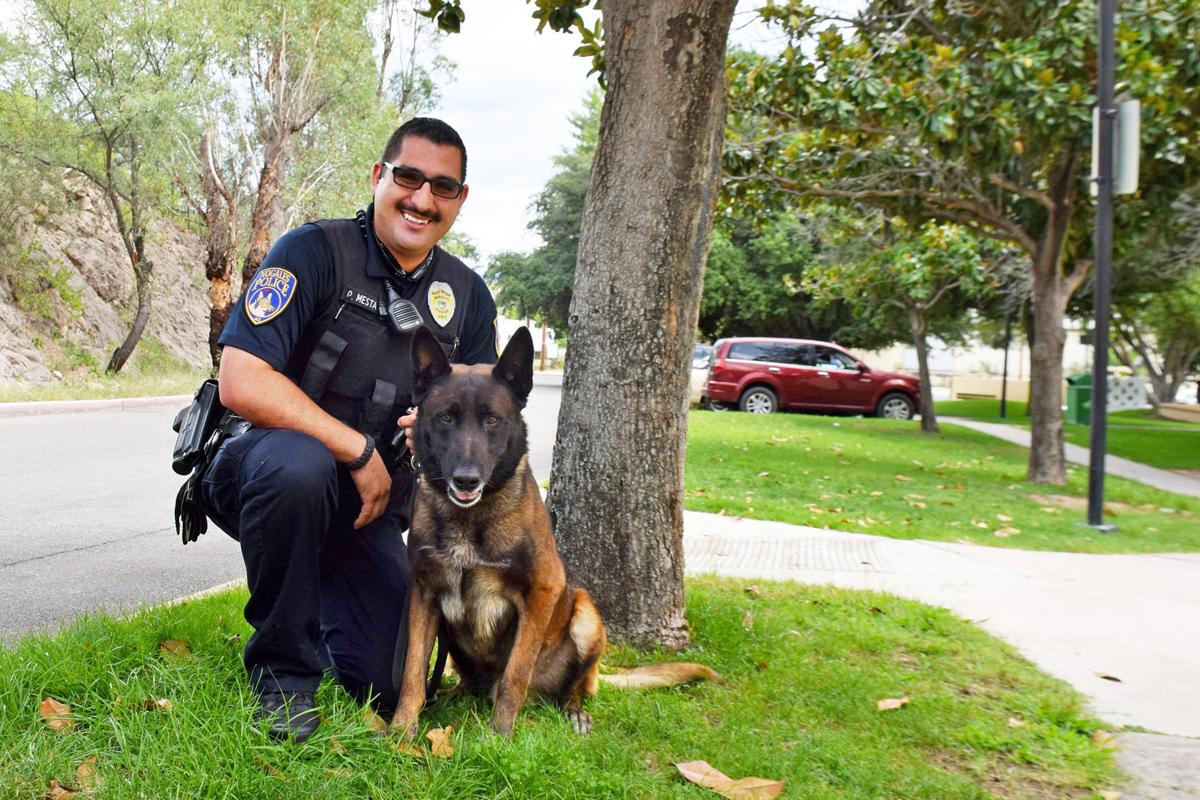 Police Dogs And Handlers Share A Special Bond Local News Stories Nogalesinternational Com