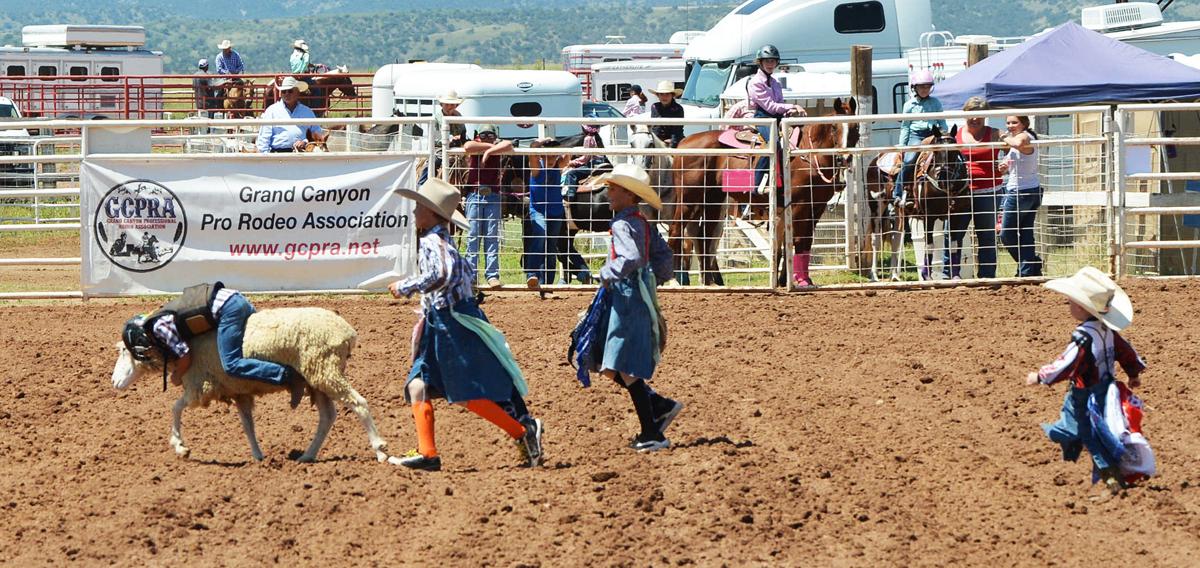 Rodeo tradition in Sonoita Local Sports News