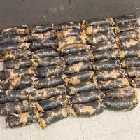 BP: Smugglers used toy car to pull meth through Nogales border fence
