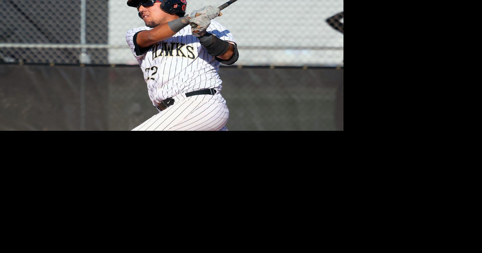 High School Baseball Roudup