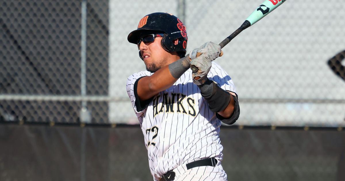 High School Baseball Roudup