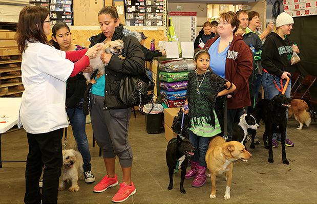 Low Cost Microchip Vaccination Clinic To Be Held Saturday Local News Nonpareilonline Com