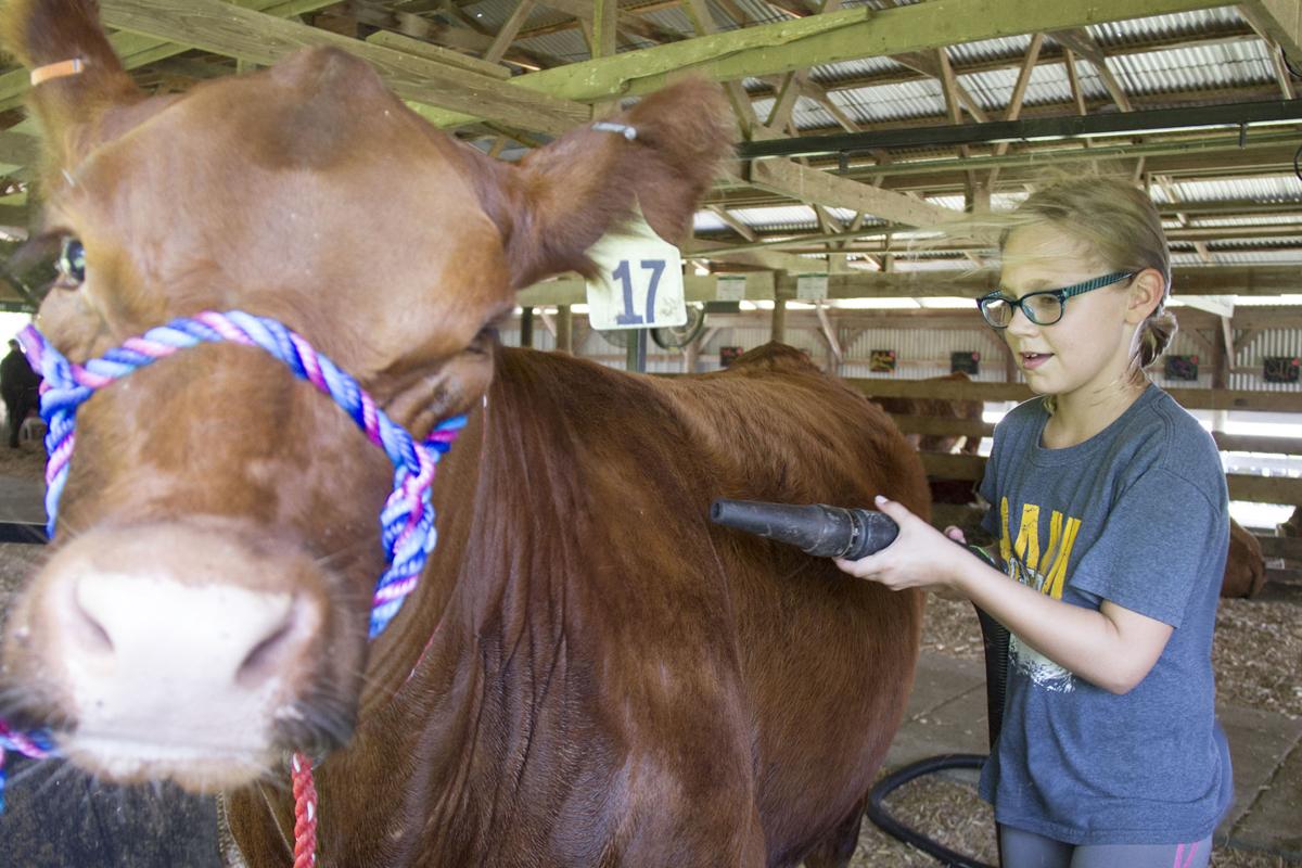 Mills County Fair opens today, kicking off a month of area county fair
