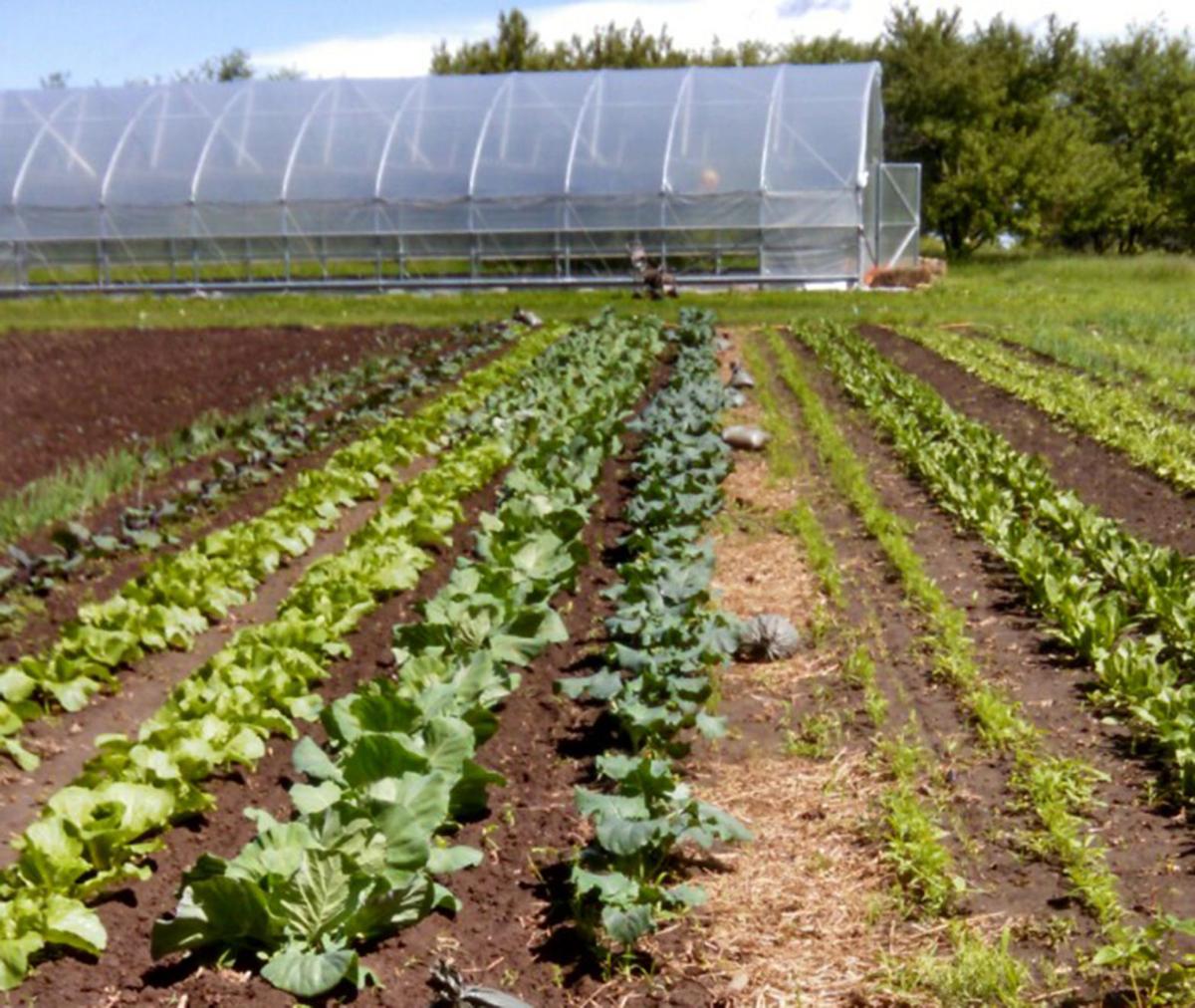 Rolling Acres practices decades of responsible land stewardship Local