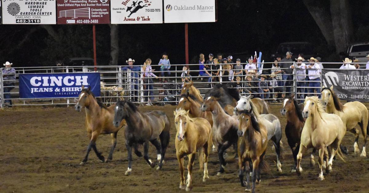 Carson rodeo to be honored at upcoming volunteer awards