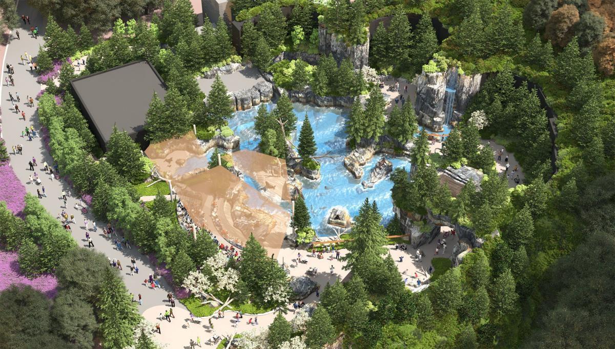 Sneak Peek Henry Doorly Zoo S 27 5m Sea Lion Exhibit Will Open
