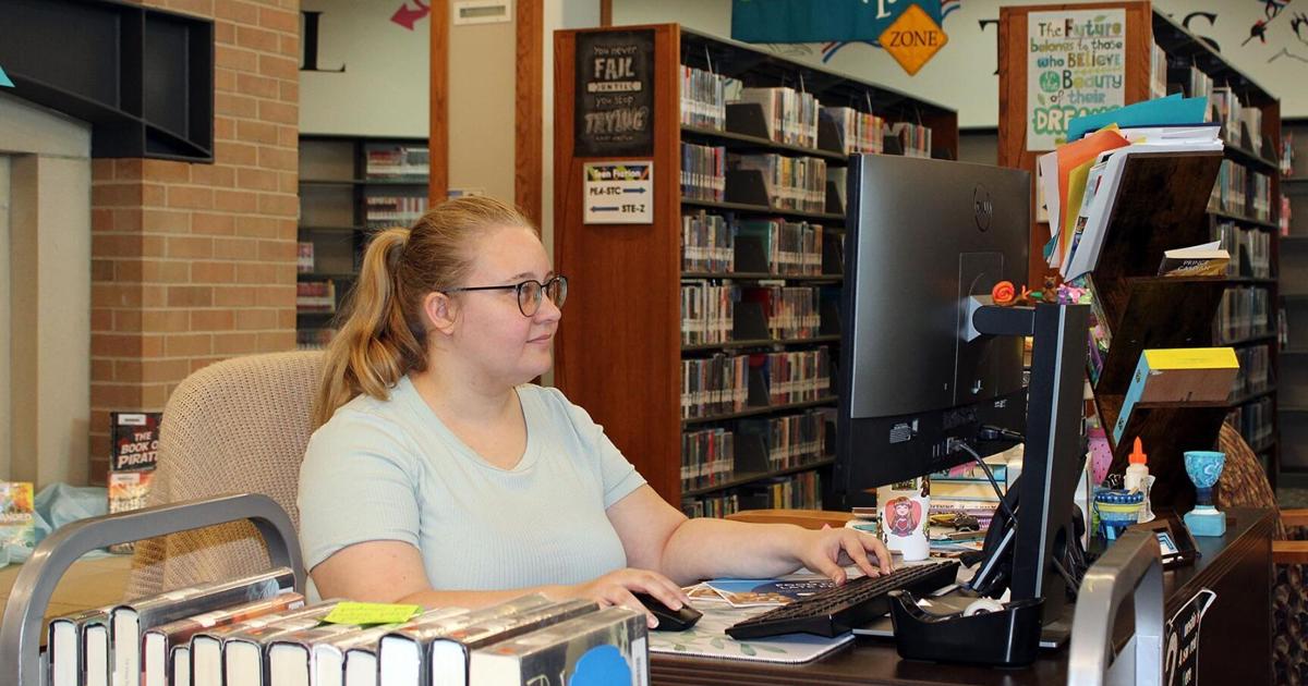 La Vista Public Library remodeling plans