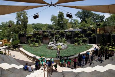 Omaha Zoo Visitors Can Get Up Close And Personal With Birds At New Holland Meadowlark Amphitheater Entertainment Nonpareilonline Com