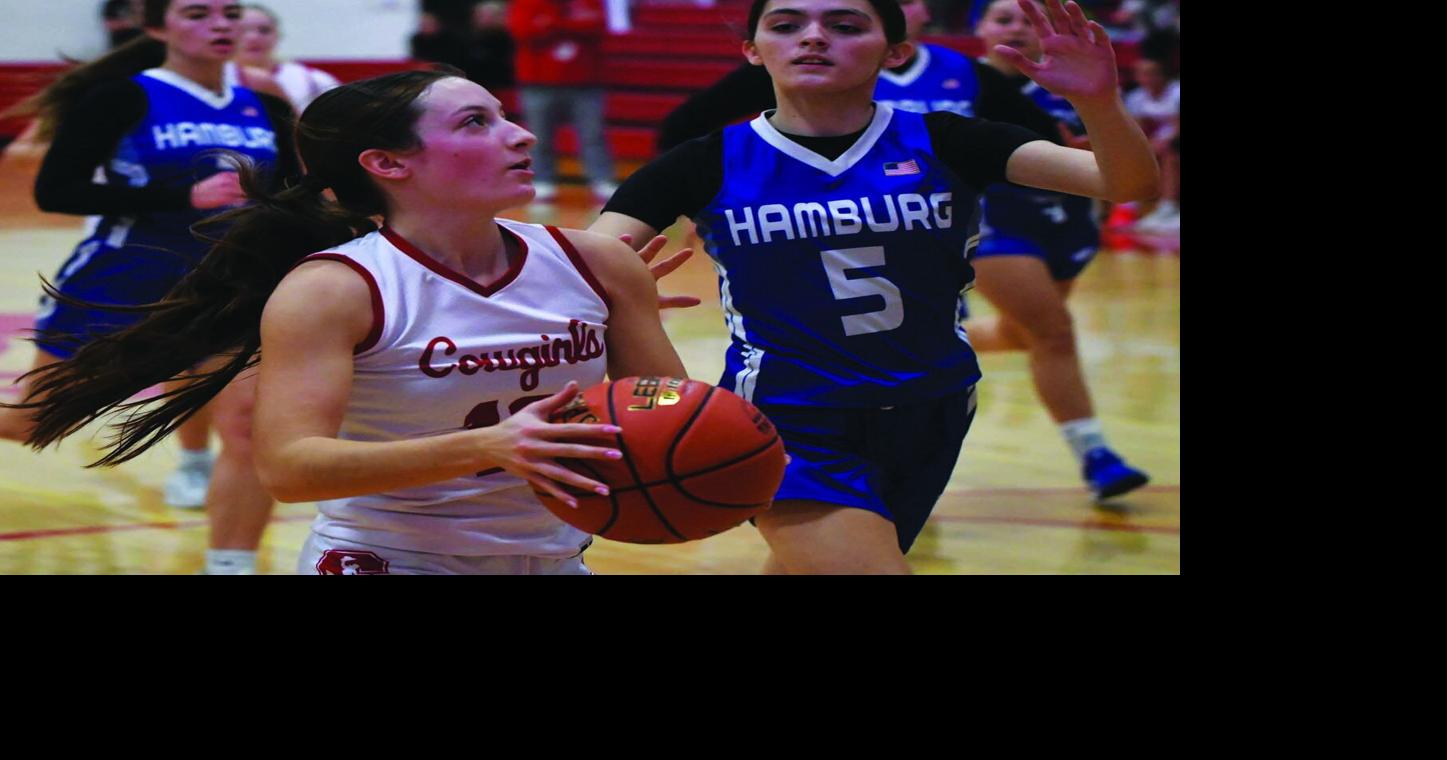 Sidney girls basketball earns home win over Hamburg