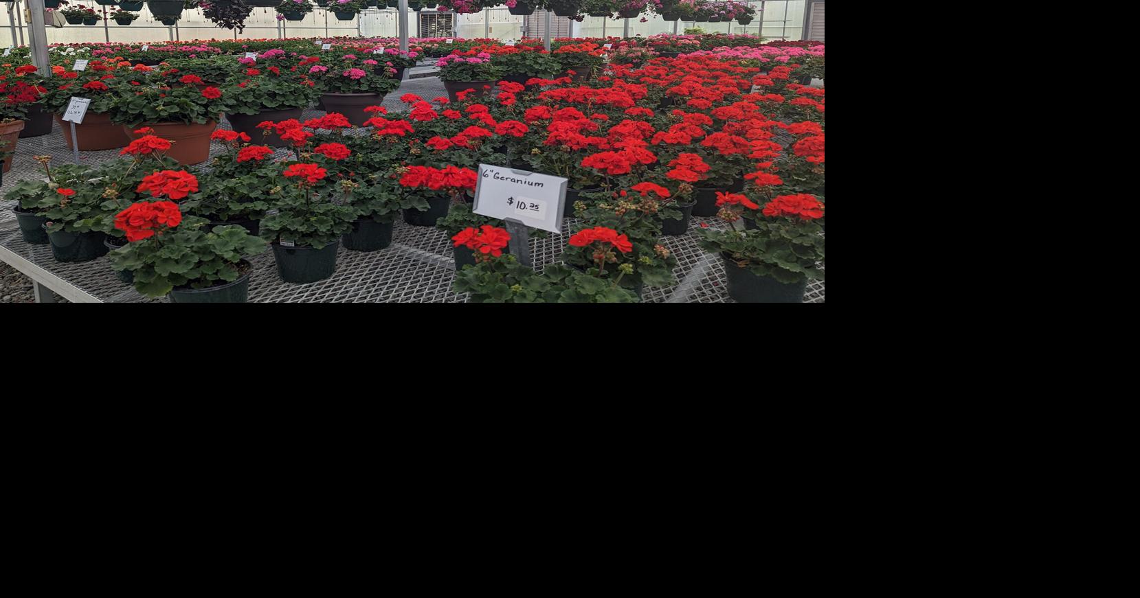 After 26 years serving Gretna community, Sun Valley Gardens to close