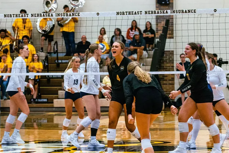 'Cats extend win streak to 11 with sweep at Jamestown