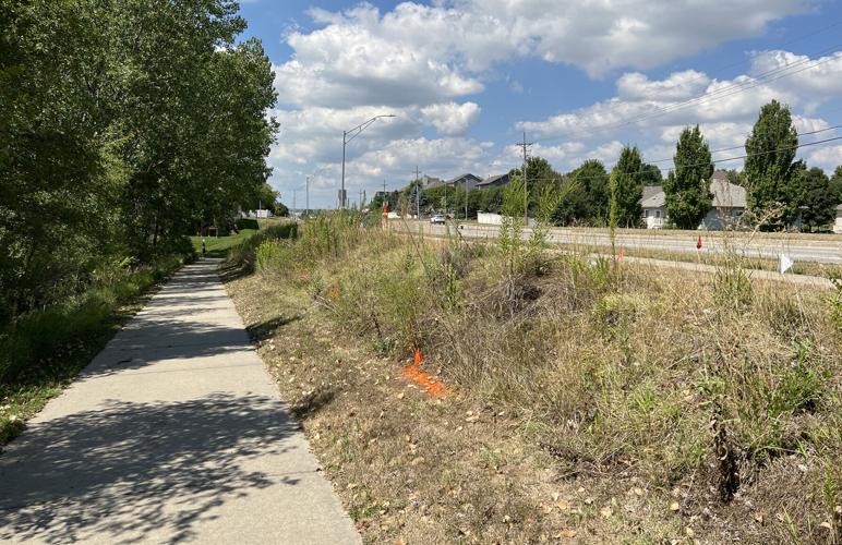 Applewood Creek Trail Project