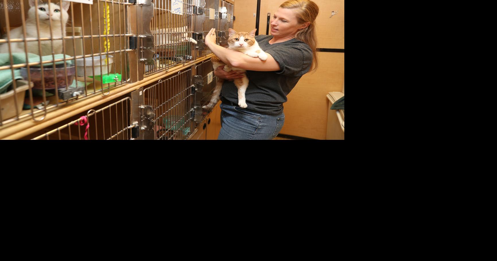 MHS, PetSmart to hold special pet adoption event