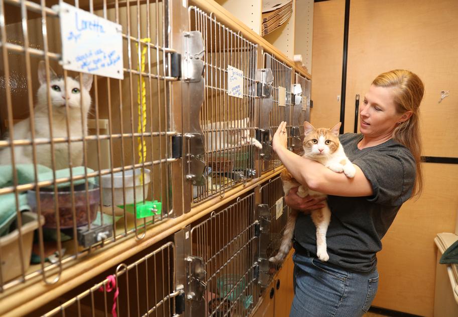 10. PetSmart Pet Adoption - wide 7