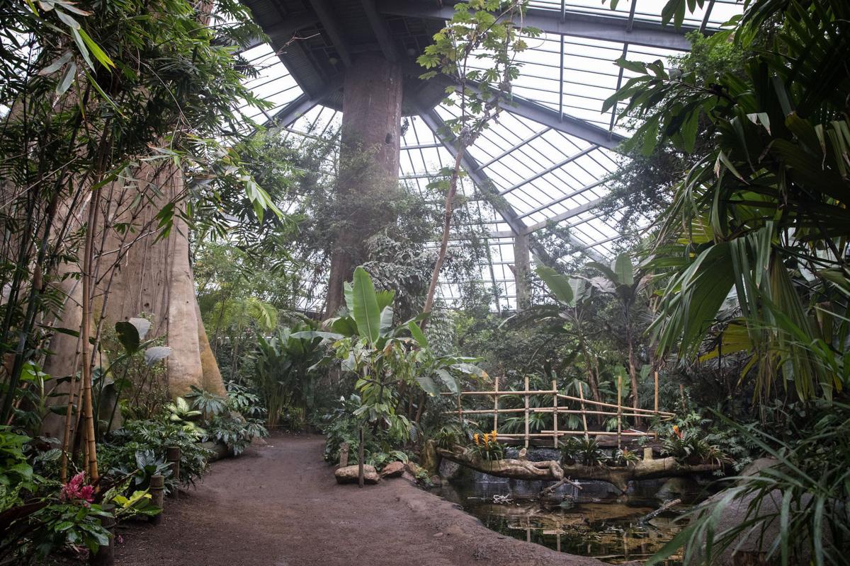 Henry Doorly Zoo Is The Second Best Zoo In The Country But Has The Best Exhibit Voters Say Entertainment Nonpareilonline Com