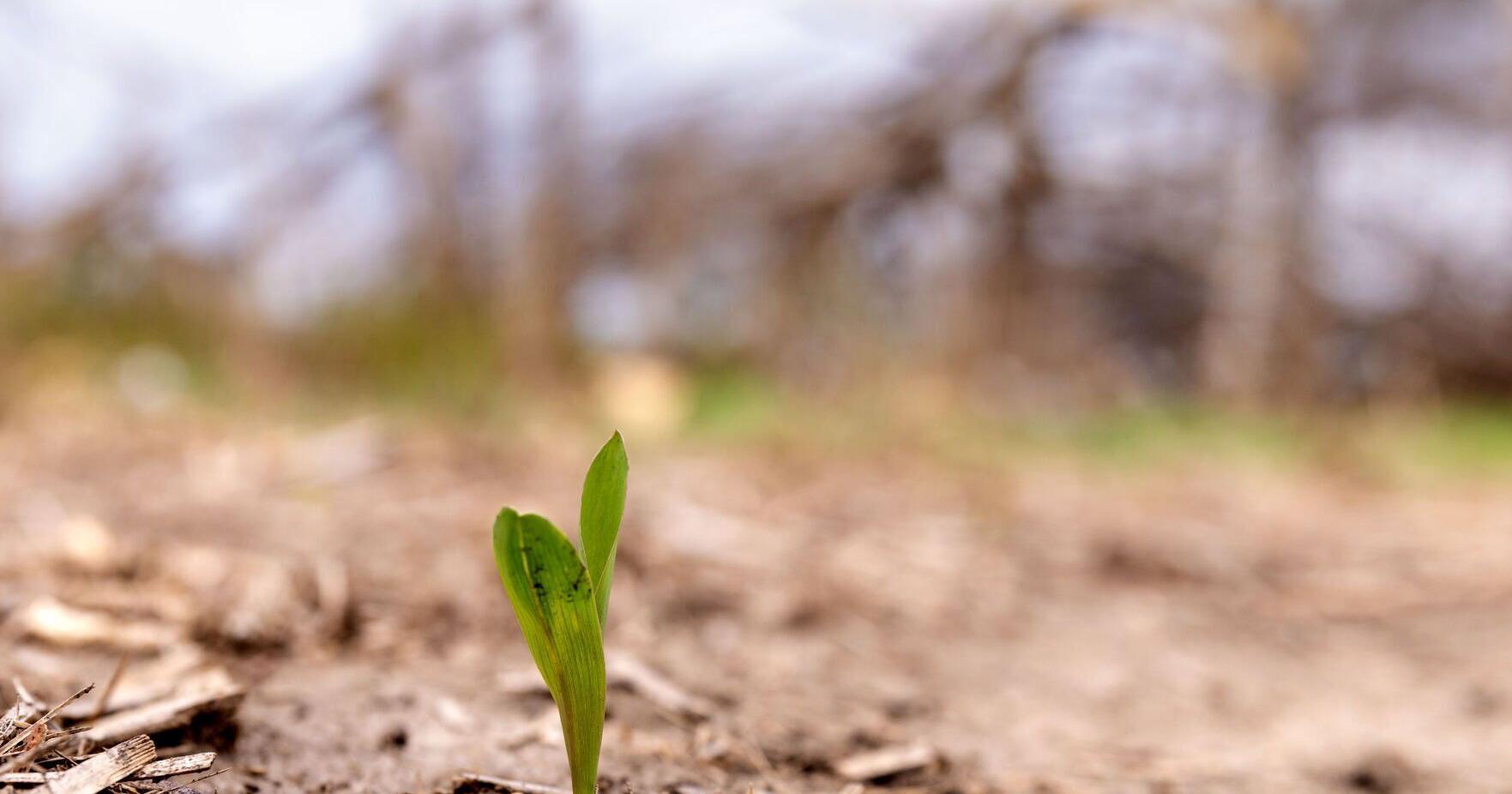 Assistance from USDA sought for farmers impacted by storms - Vimarsana News