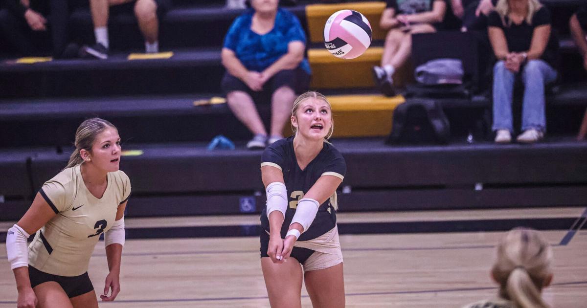How the Nonpareil sports staff ranks Southwest Iowa volleyball teams after first week
