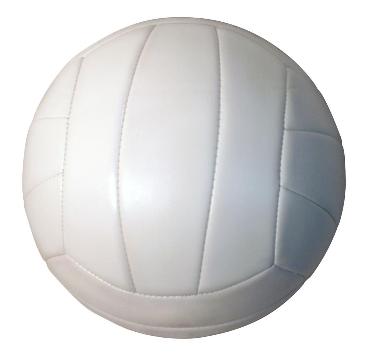 Volleyball graphic.jpg