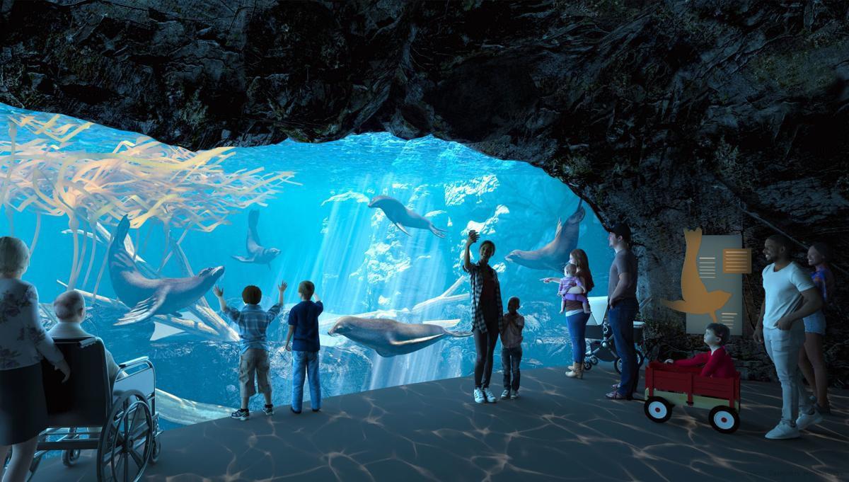 Sneak peek: Henry Doorly Zoo's $27.5M sea lion exhibit will open in