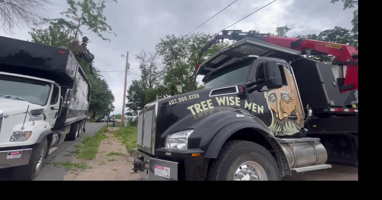 Tree Wise Men clean up storm damage in Glenwood