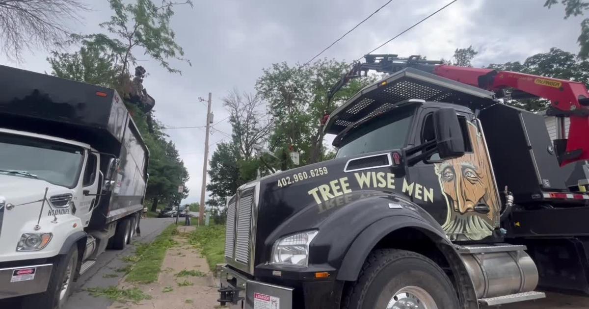 Tree Wise Men clean up storm damage in Glenwood