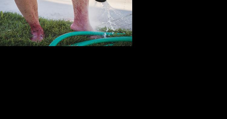Temps cool in time for busy weekend outside - Vimarsana News