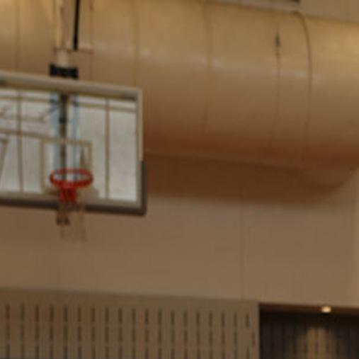 Wheelchair Basketball Star Sets High Goals Sports