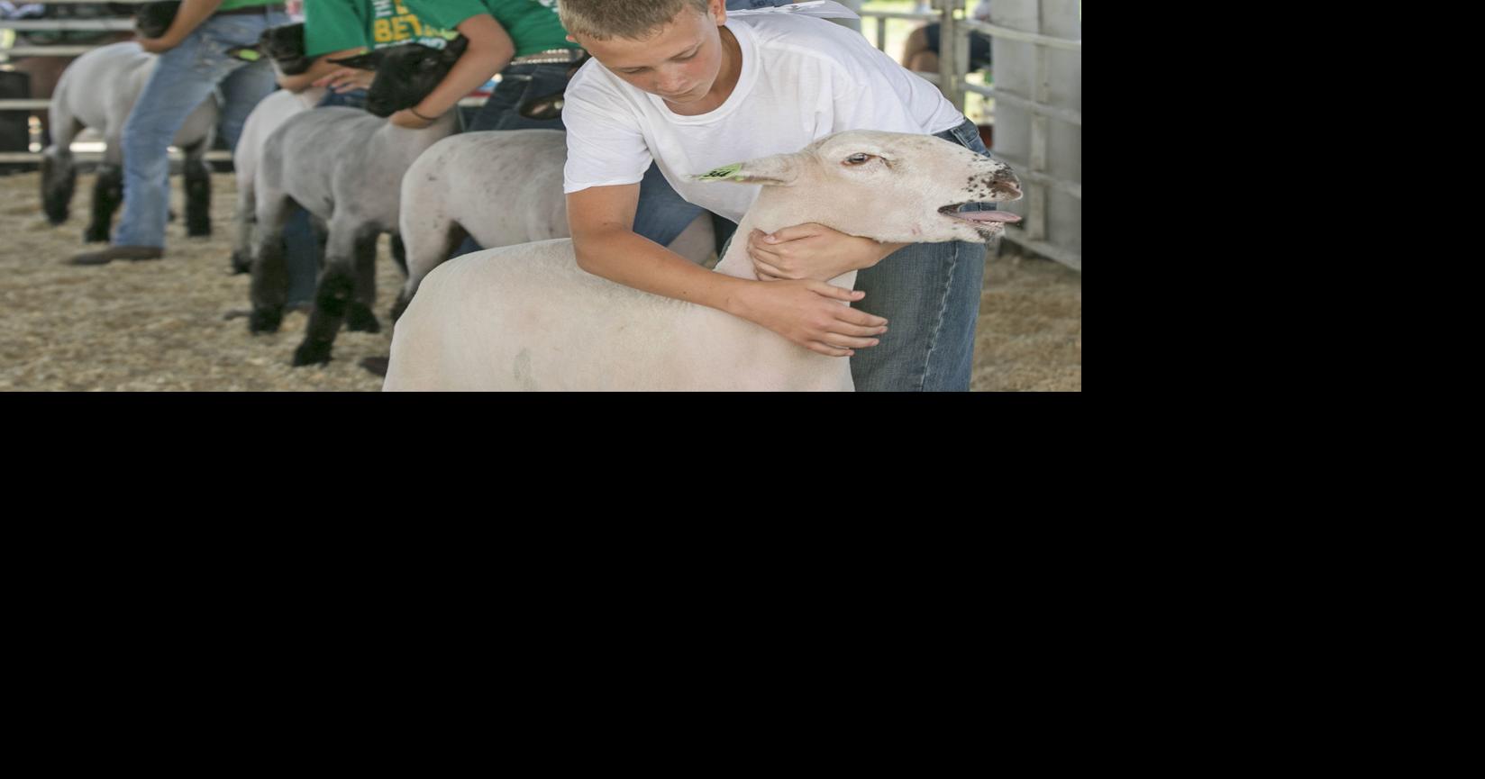 Pottawattamie County Fair starts in Avoca Thursday